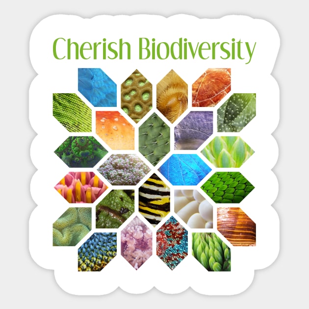Cherish Biodiversity Sticker by donovanh